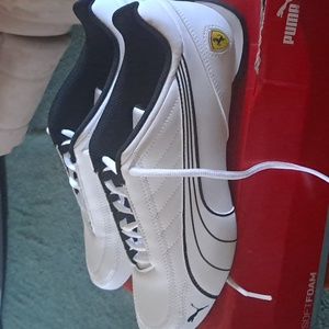 Puma kart